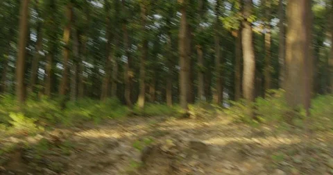 Motorcycle Road Trip In India Stock Footage 72997640