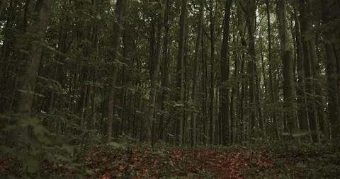 Motorcycle in the off-roads Video stock 135133433