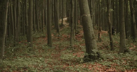 Motorcycle in the off-roads Stock-Footage 135134057
