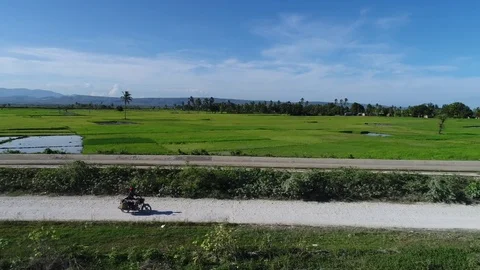 Motorcycle soaring past rice fields in Haiti Video stock 85241490