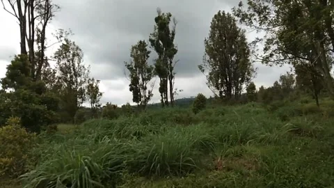 Motorcycle trip Video stock 222450410