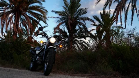 Motorcycle with warning lights surrounded by palm trees Video stock 139540593