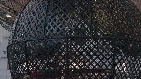 Motorcycles circling inside a Steel Cage Stock Video Pond5