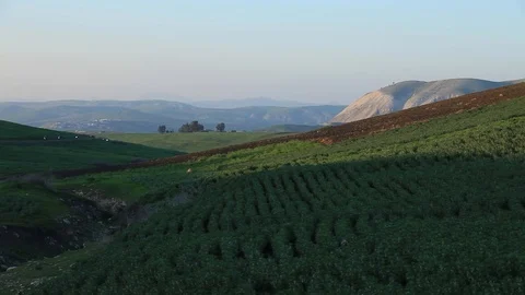 Motorcycles Riding Through Green Fields In The Mountains 스톡 동영상 105222593