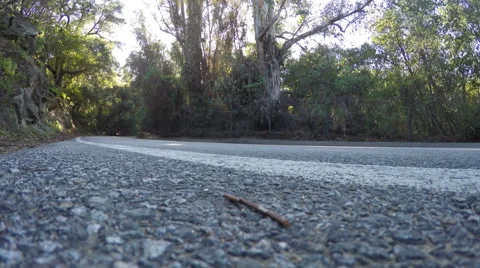 Motorcycles on a Scenic Road Stock Footage 48834879