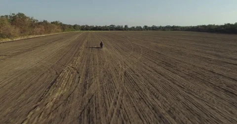 A motorcyclist rides the field Stock Footage 80577357