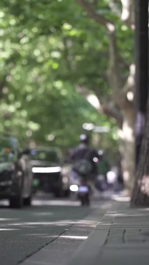 Motorcyclist Riding Down Tree-Lined Urban Street Video stock 326598486