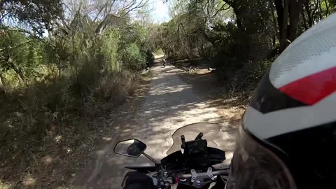 Motorcyclist riding through tree lined road Stock Footage 253318074