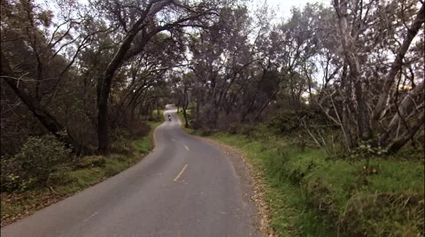 Motorcyclist on the road in the forest Vídeos de archivo 46458663