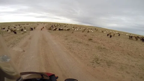 Motorcyclist in steppe Video stock 78226047