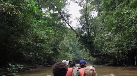 Motorized canoe with tourists on Amazon river Stock Footage 41855923