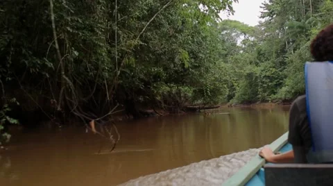Motorized canoe with tourists on Amazon river Stock Footage 41855928