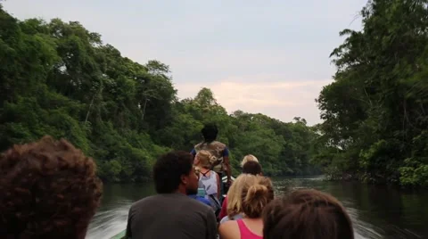 Motorized canoe with tourists on Amazon river Stock Footage 41855934
