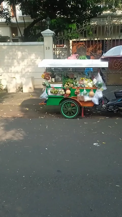 Motorized carts Video stock 242467411