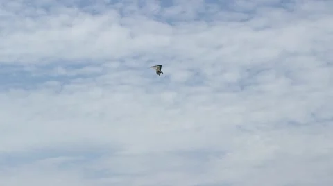 Motorized Hang Gliders Stock Footage 40699256