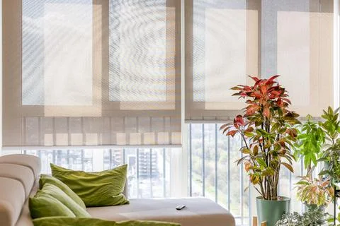 Motorized roller blinds with remote control Foto stock