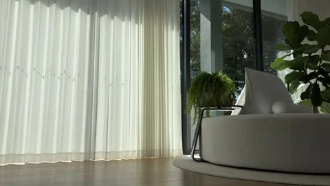 Motorized Sheer Curtains Open to Reveal Sunlit Tree View Stock Footage 343948425