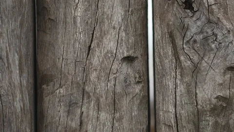 Motorized slider, tracking shot. Texture of an old wooden fence close-up. Stock Footage 91922975