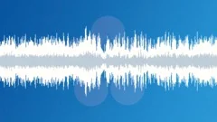 Motorsports: autocross: startSound Effect