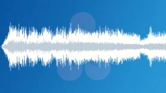 Motorsports: autocross: startSound Effect