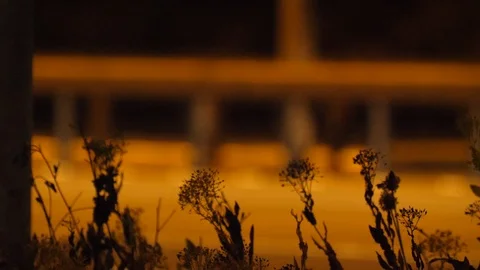 Motorway 17 Stock Footage 91091192