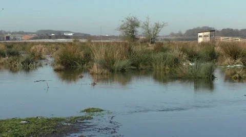 Motorway and marshland Stock Footage 45447192