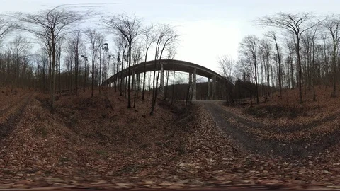 Motorway bridge over deciduous forest, VR360, VR, 360VR, 360 Video Stock Footage 106289375