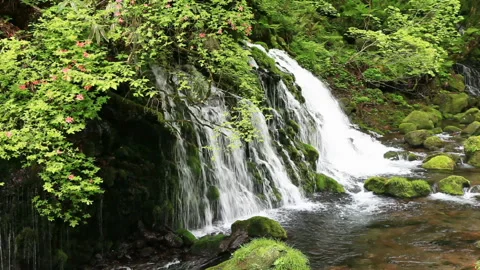 Mototaki Valley Stock-Footage 331994932
