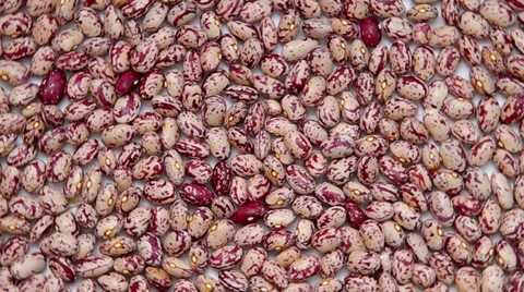 Mottled beans Stock Footage 36647808