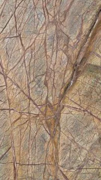 Mottled green marble Foto stock