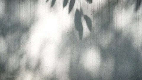 The mottled light and shadow on the wall Stock Footage 334168260