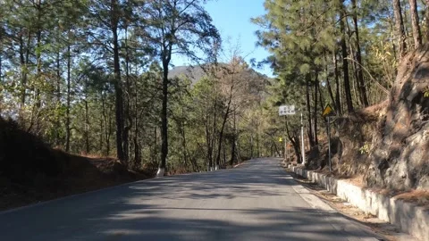 Mottled road in mountain forest Stock Footage 203804594