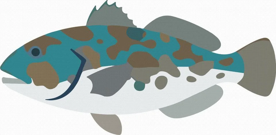 Mottled Trout Fish Vector Illustration Stock Illustration