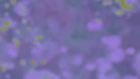 MottledAbstract Stock Footage 162825091