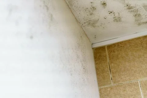 Mould in the ceiling of a bathroom Stock Photos