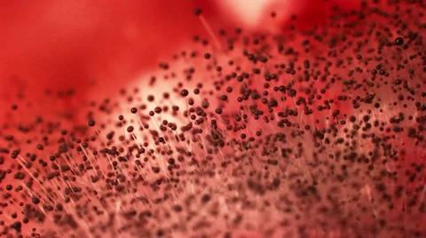 Mould Vídeo Stock 34955037