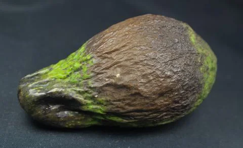 Mouldy avocado Stock Photos