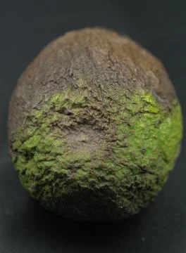 Mouldy avocado Stock Photos