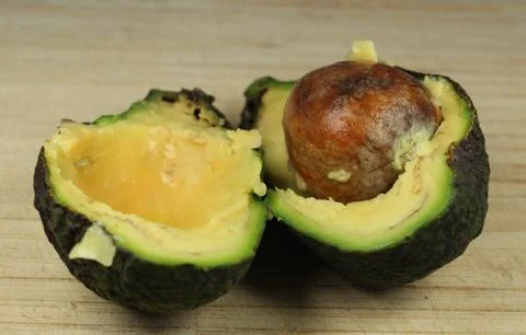 Mouldy avocado Stock Photos