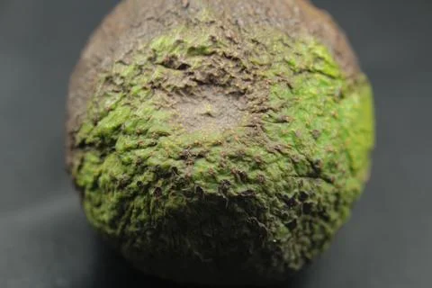 Mouldy avocado Stock Photos