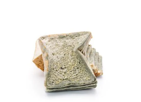 Mouldy bread isolated on white background. Stock Photos