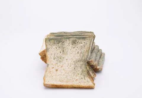Mouldy bread isolated on white background. Stock Photos