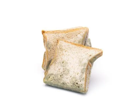 Mouldy bread isolated on white background. Stock Photos