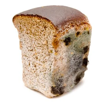 Mouldy bread Stock Photos