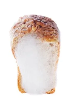 Mouldy bread Stock Photos