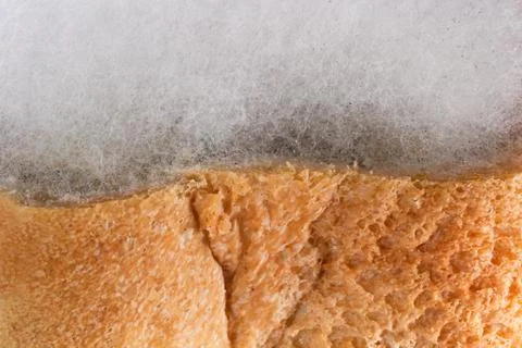 Mouldy bread Stock Photos