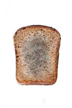 Mouldy bread Stock Photos