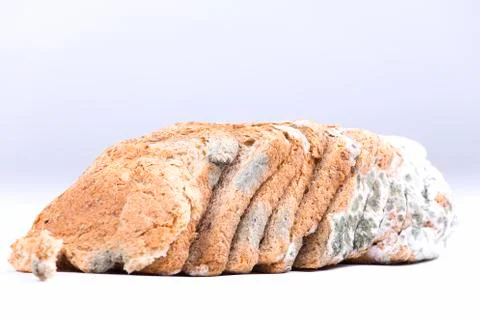 Mouldy bread Stock Photos