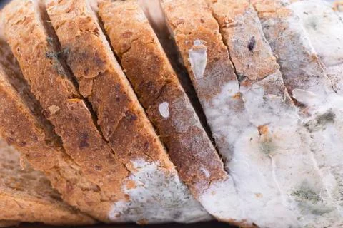 Mouldy bread Stock Photos