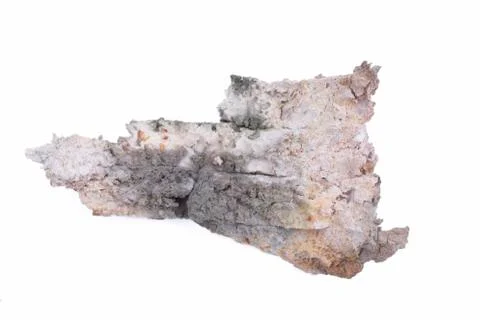 Mouldy bread Stock Photos